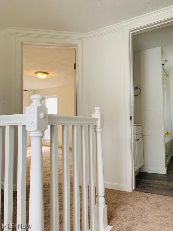 Chest G Sub - Residential