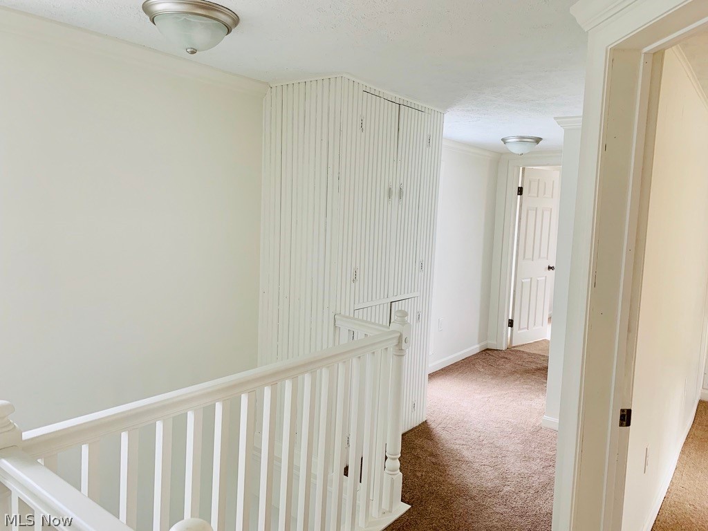 Chest G Sub - Residential