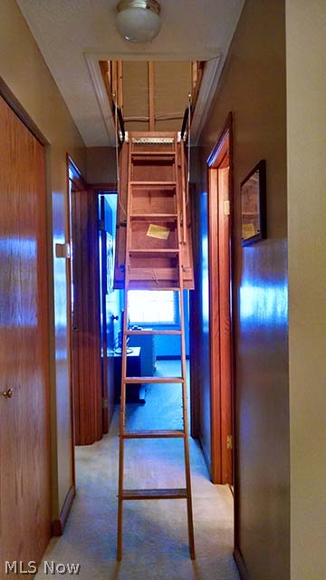 Mill Creek Woods Condo - Residential