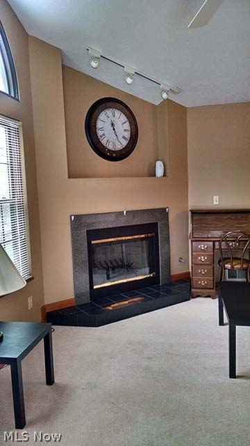 Mill Creek Woods Condo - Residential