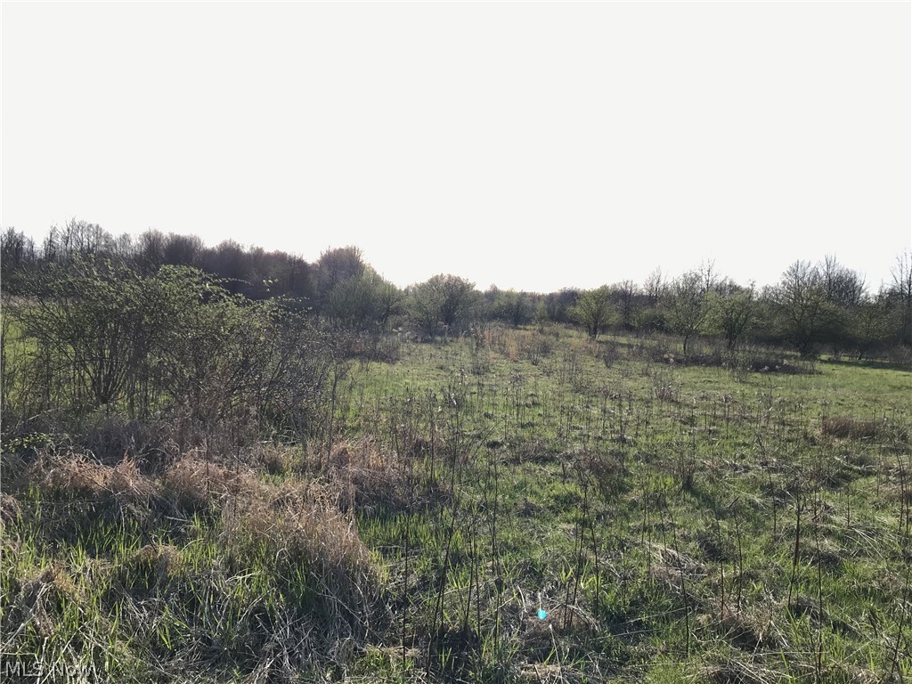 Part/Said Sec 15 - Land