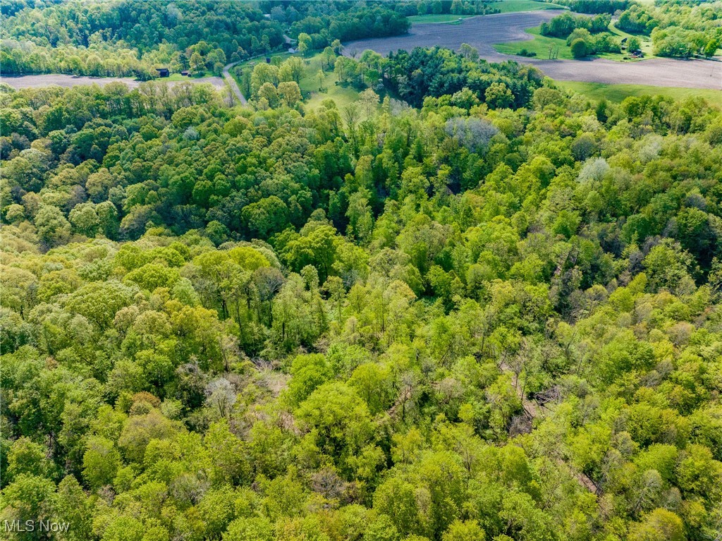 2163 Sleepy Elm Road, Newcomerstown, Ohio image 16