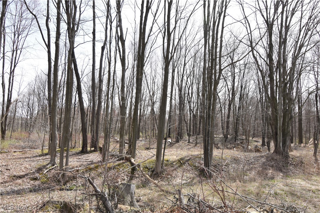 Connecticut Western Reserve - Residential Income