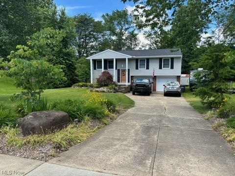 Single Family Residence in Independence OH 7676 Brecksville Road.jpg