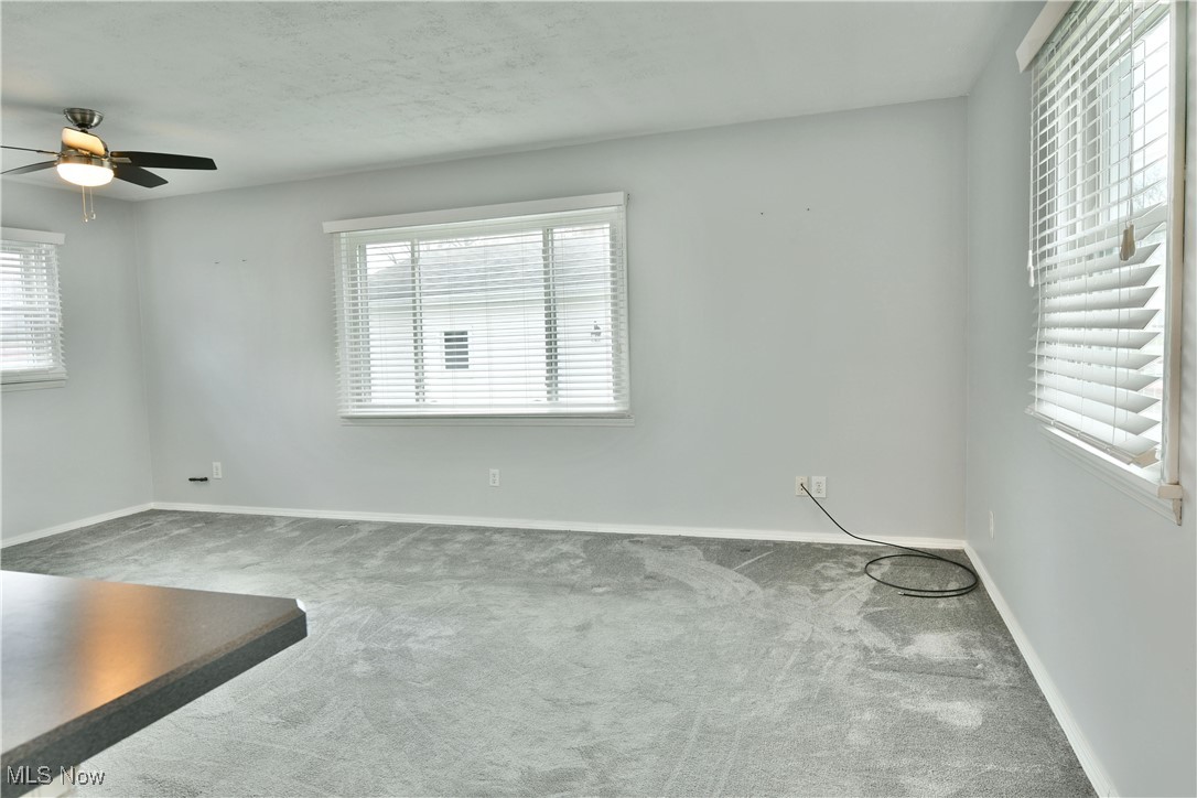 3911 Hopkins Road, Youngstown, Ohio image 19
