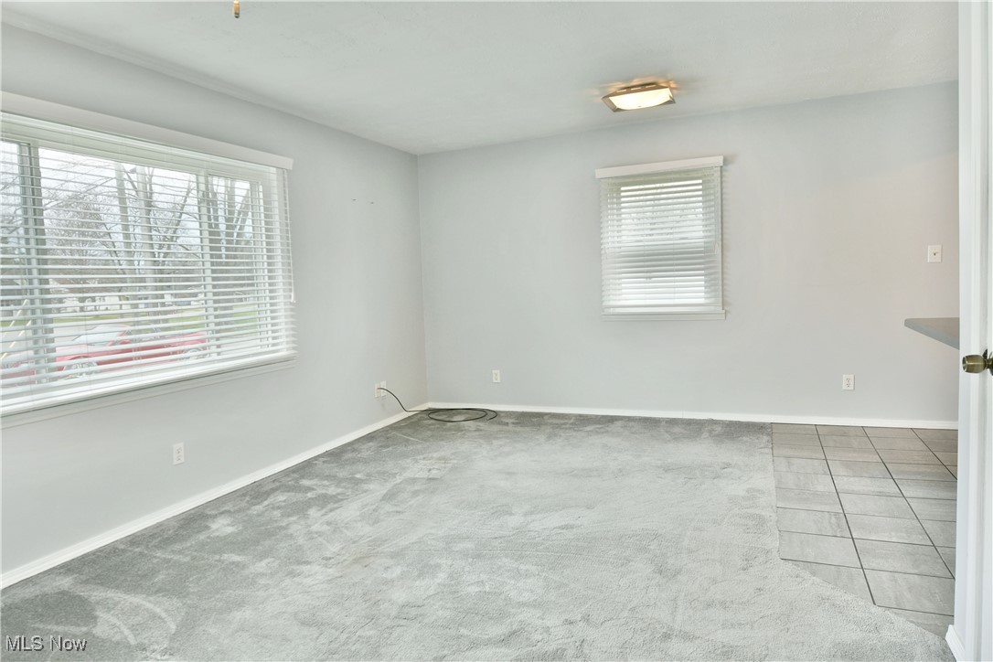 3911 Hopkins Road, Youngstown, Ohio image 24
