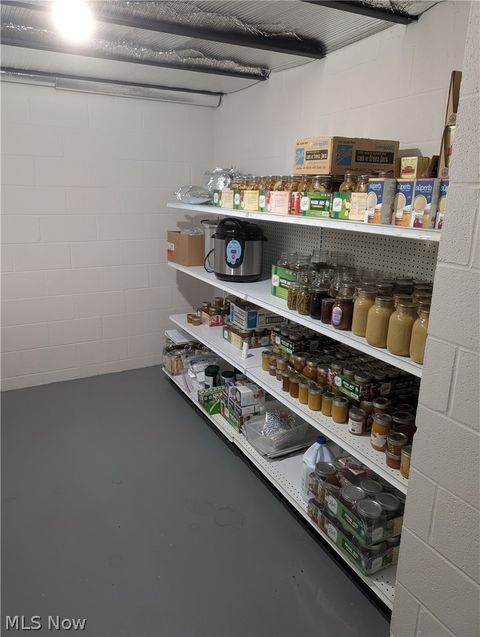 Tiny photo for 4852 White Road, Rock Creek, OH 44084 (MLS # 5188412)