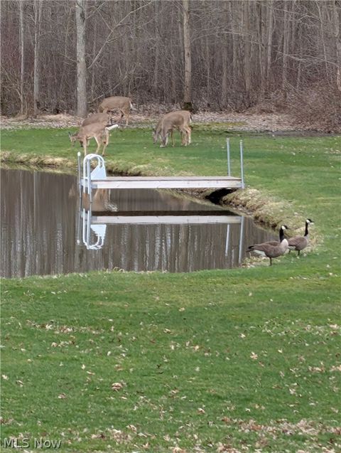 Tiny photo for 4852 White Road, Rock Creek, OH 44084 (MLS # 5188412)