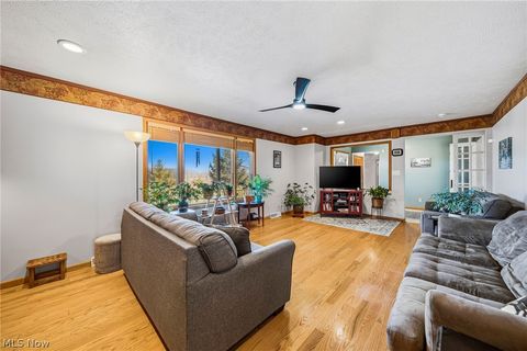 Tiny photo for 4852 White Road, Rock Creek, OH 44084 (MLS # 5188412)