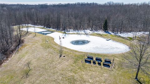 Tiny photo for 4852 White Road, Rock Creek, OH 44084 (MLS # 5188412)