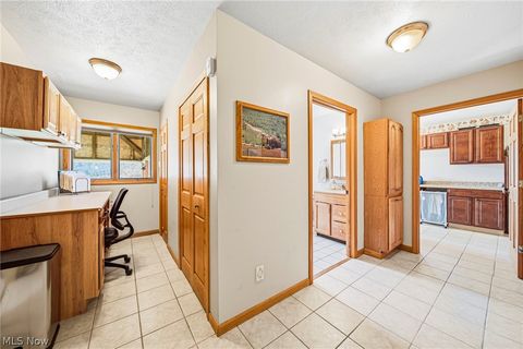 Tiny photo for 4852 White Road, Rock Creek, OH 44084 (MLS # 5188412)