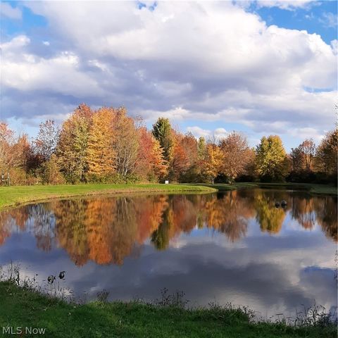 Tiny photo for 4852 White Road, Rock Creek, OH 44084 (MLS # 5188412)