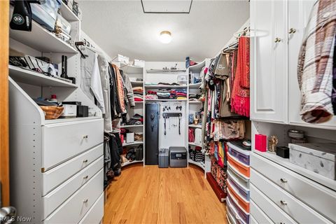 Tiny photo for 4852 White Road, Rock Creek, OH 44084 (MLS # 5188412)