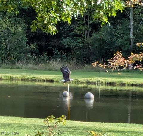 Tiny photo for 4852 White Road, Rock Creek, OH 44084 (MLS # 5188412)