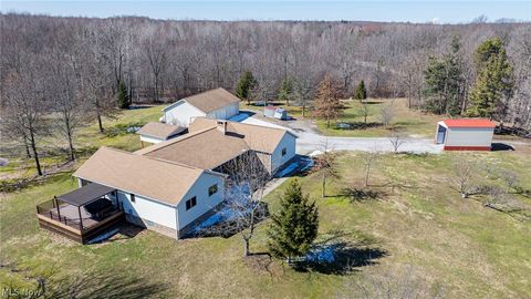 Photo of 4852 White Road, Rock Creek, OH 44084 (MLS # 5188412)