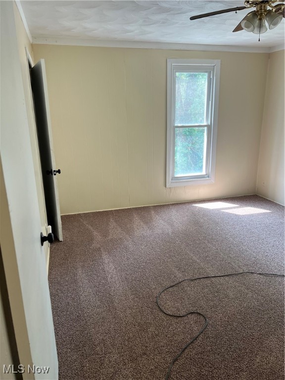 Blandys Hill - Residential