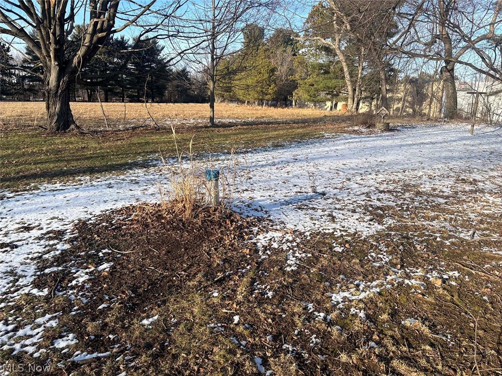 Buxtons Allotment - Residential