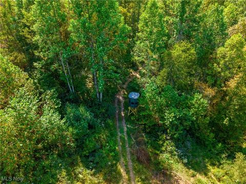 Tiny photo for Kinnen Road, Caldwell, OH 43724 (MLS # 5172307)