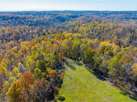 Tiny photo for Kinnen Road, Caldwell, OH 43724 (MLS # 5172307)