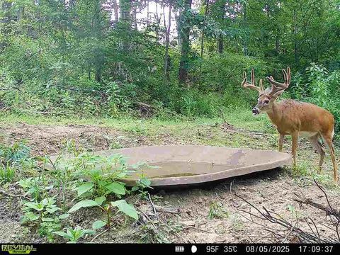 Tiny photo for Kinnen Road, Caldwell, OH 43724 (MLS # 5172307)