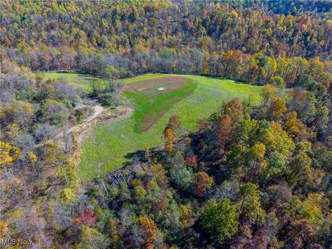 Tiny photo for Kinnen Road, Caldwell, OH 43724 (MLS # 5172307)