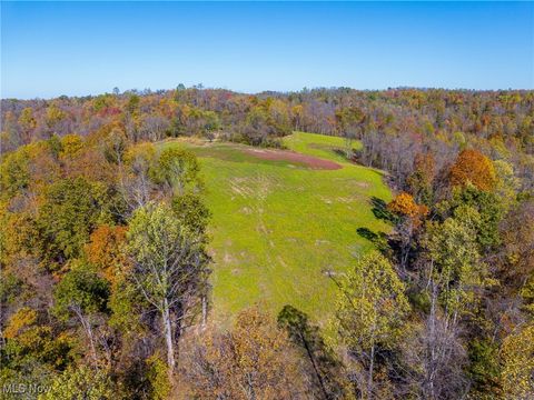 Tiny photo for Kinnen Road, Caldwell, OH 43724 (MLS # 5172307)