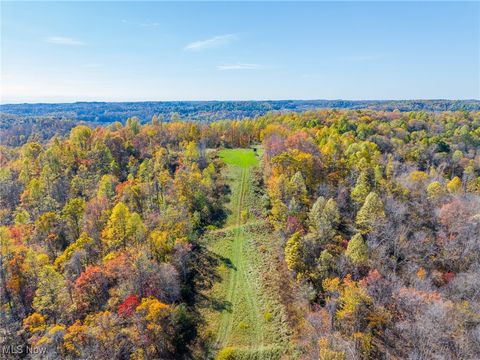 Tiny photo for Kinnen Road, Caldwell, OH 43724 (MLS # 5172307)