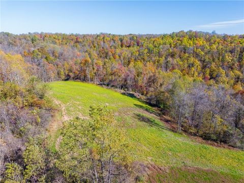 Tiny photo for Kinnen Road, Caldwell, OH 43724 (MLS # 5172307)