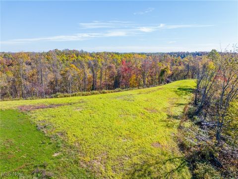 Tiny photo for Kinnen Road, Caldwell, OH 43724 (MLS # 5172307)