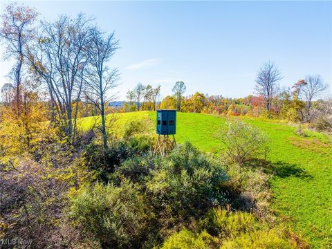 Tiny photo for Kinnen Road, Caldwell, OH 43724 (MLS # 5172307)