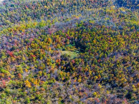 Tiny photo for Kinnen Road, Caldwell, OH 43724 (MLS # 5172307)