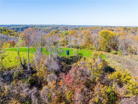 Tiny photo for Kinnen Road, Caldwell, OH 43724 (MLS # 5172307)