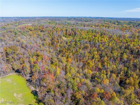 Tiny photo for Kinnen Road, Caldwell, OH 43724 (MLS # 5172307)