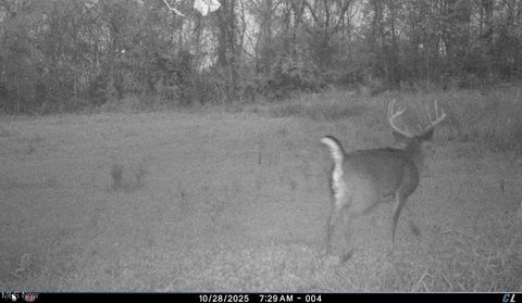 Tiny photo for Kinnen Road, Caldwell, OH 43724 (MLS # 5172307)