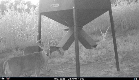 Tiny photo for Kinnen Road, Caldwell, OH 43724 (MLS # 5172307)