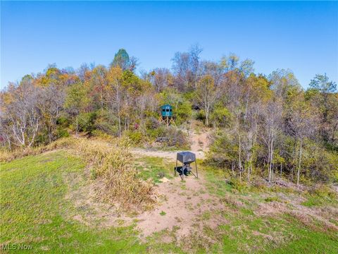 Tiny photo for Kinnen Road, Caldwell, OH 43724 (MLS # 5172307)