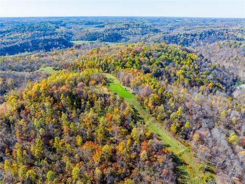 Tiny photo for Kinnen Road, Caldwell, OH 43724 (MLS # 5172307)