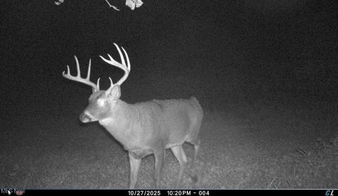 Tiny photo for Kinnen Road, Caldwell, OH 43724 (MLS # 5172307)