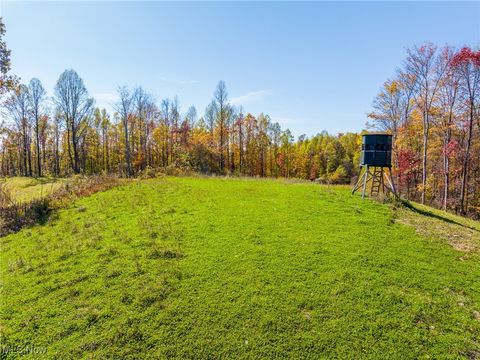 Tiny photo for Kinnen Road, Caldwell, OH 43724 (MLS # 5172307)