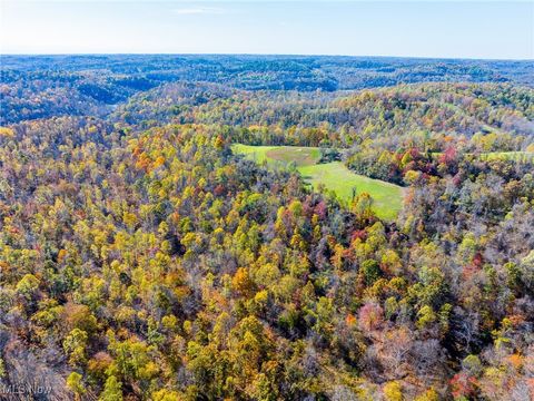 Tiny photo for Kinnen Road, Caldwell, OH 43724 (MLS # 5172307)