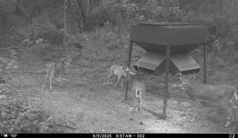 Tiny photo for Kinnen Road, Caldwell, OH 43724 (MLS # 5172307)