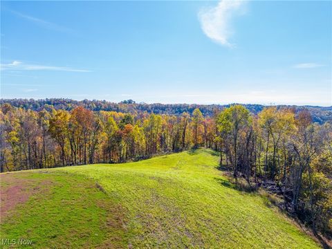 Tiny photo for Kinnen Road, Caldwell, OH 43724 (MLS # 5172307)