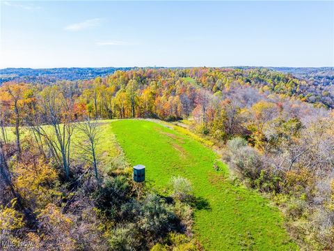 Tiny photo for Kinnen Road, Caldwell, OH 43724 (MLS # 5172307)