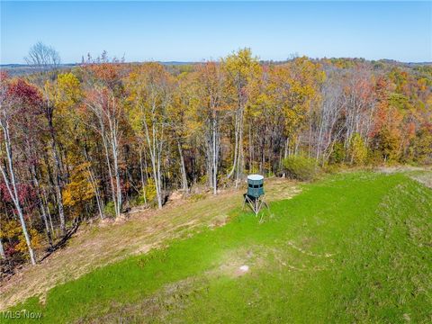 Tiny photo for Kinnen Road, Caldwell, OH 43724 (MLS # 5172307)