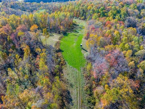 Tiny photo for Kinnen Road, Caldwell, OH 43724 (MLS # 5172307)