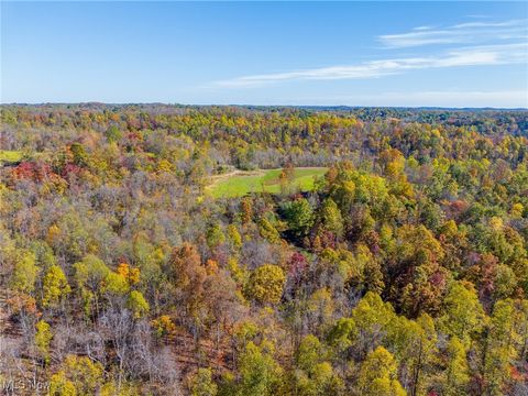 Tiny photo for Kinnen Road, Caldwell, OH 43724 (MLS # 5172307)