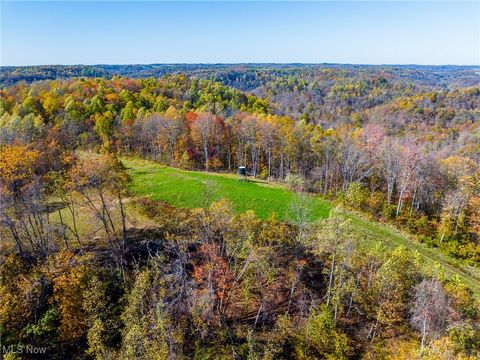 Tiny photo for Kinnen Road, Caldwell, OH 43724 (MLS # 5172307)