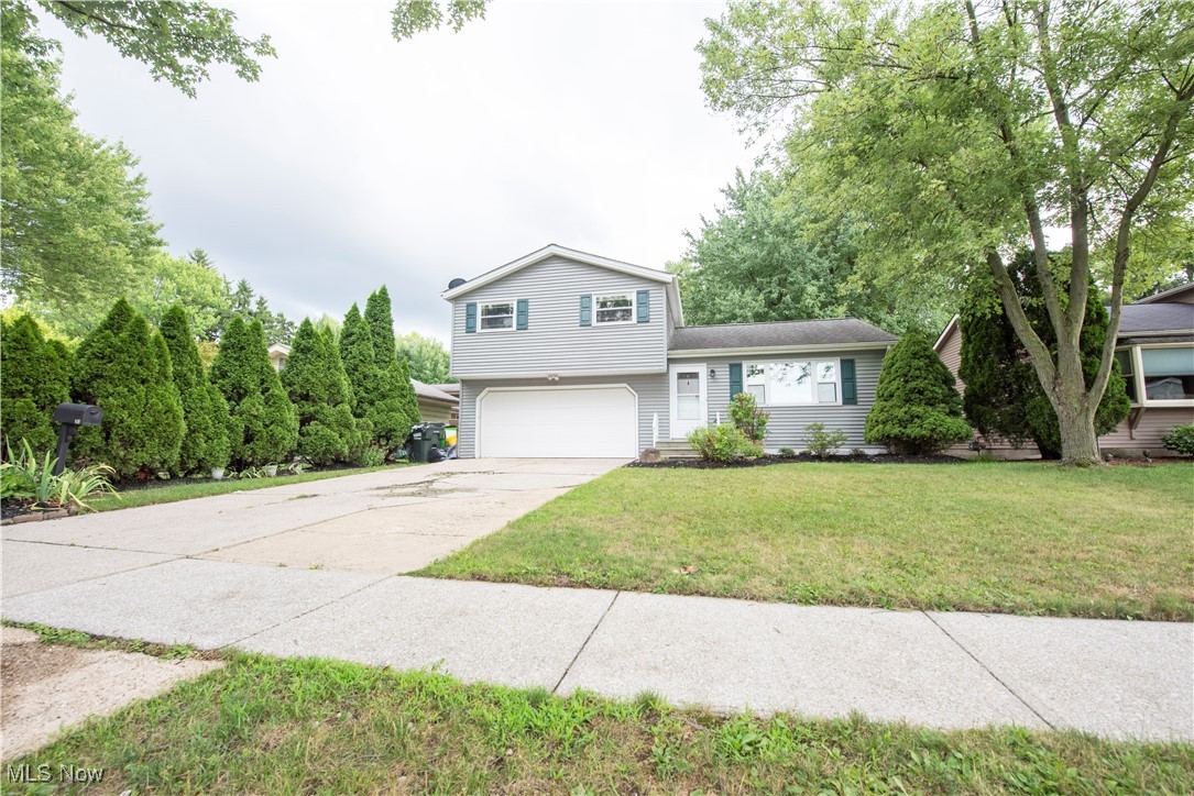 Butternut Lane - Residential