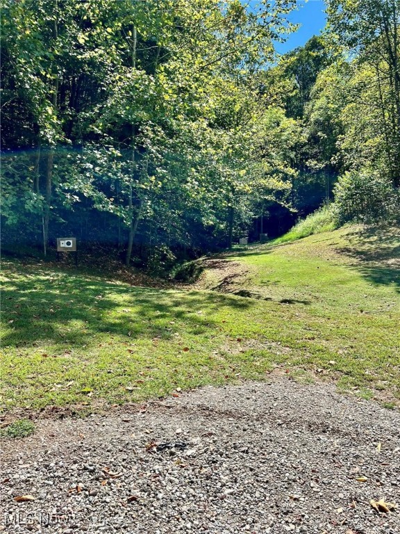 1810 Grannies Creek Crk, Newton, West Virginia image 18