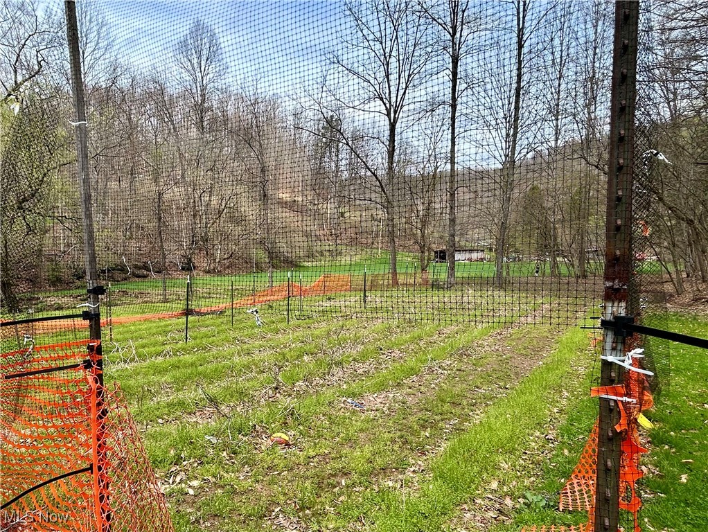 1810 Grannies Creek Crk, Newton, West Virginia image 26